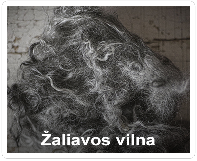 Zaliavos-vilna